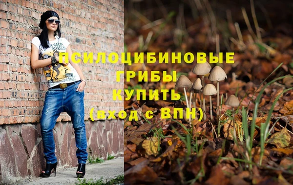 таблы Покровск