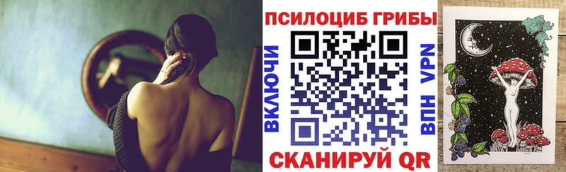 Галлюциногенные грибы Cubensis  MEGA зеркало  Зерноград 